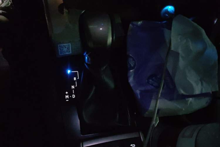 Used Lexus RX 2020 Revised Version 300 Two-Wheel Drive Comfort Edition Gear Lever