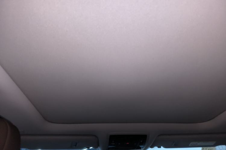 Used Lexus RX 2020 Facelifted 300 4x4 Elegant Edition Headliner