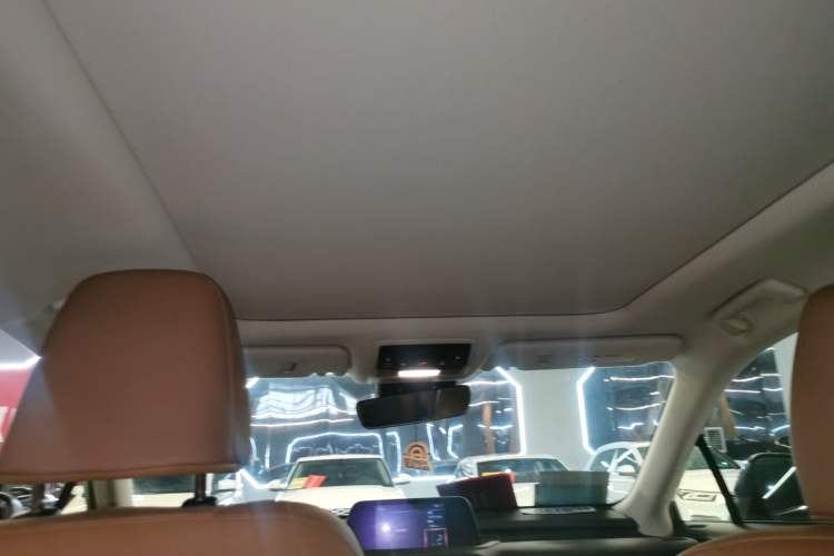 Used Lexus RX 2020 300 4x4 Elegant Edition China VI Headliner
