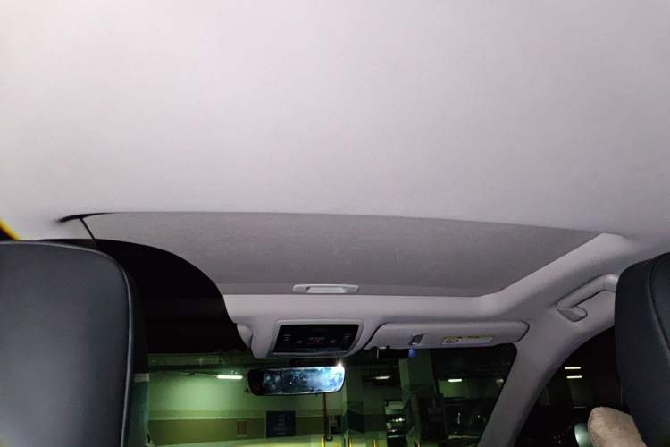 Used Lexus RX 2020 Revised Version 300 Two-Wheel Drive Elite Edition Headliner