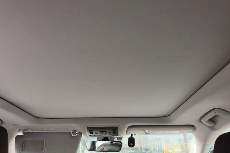 Used Lexus RX 2020 Facelifted 300 4x4 Elegant Edition Headliner
