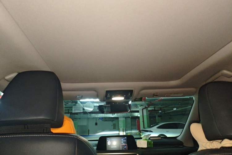 Used Lexus RX 2020 300 4x4 Elegant Edition China VI Headliner