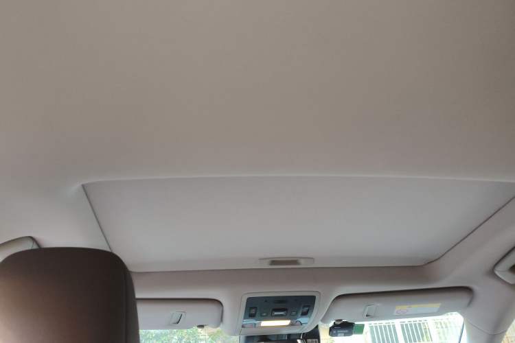 Used Lexus RX 2020 Revised Version 300 Two-Wheel Drive Comfort Edition Headliner