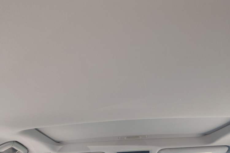 Used Lexus RX 2020 300 Two-Wheel Drive Elite Version China V Standard Headliner