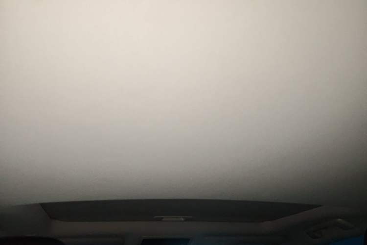 Used Lexus RX 2020 Revised Version 450h Four-Wheel Drive Elegant Edition Headliner