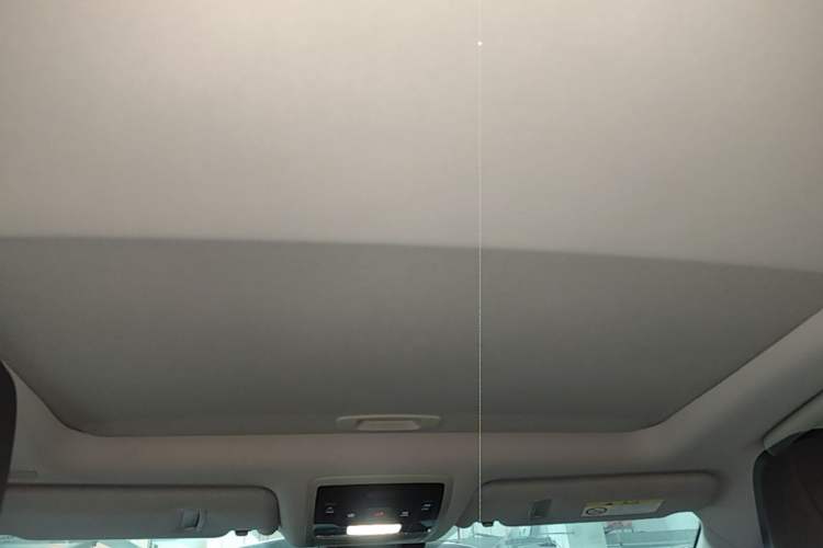 Used Lexus RX 2020 Revised Version 300 Two-Wheel Drive Comfort Edition Headliner