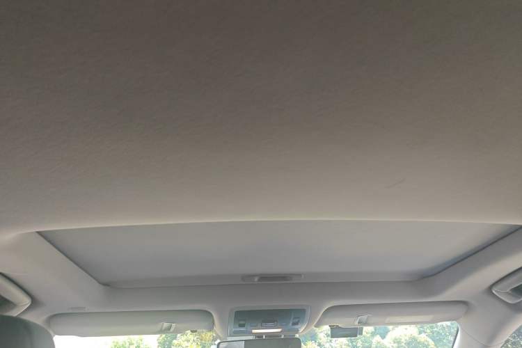 Used Lexus RX 2020 Revised Version 300 Two-Wheel Drive Elite Edition Headliner