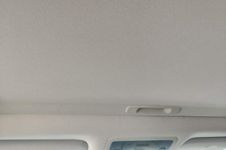 Used Lexus RX 2020 Revised Version 300 Two-Wheel Drive Comfort Edition Headliner