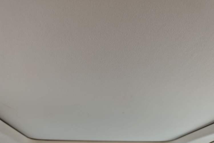 Used Lexus RX 2020 Facelifted 300 4x4 Elegant Edition Headliner