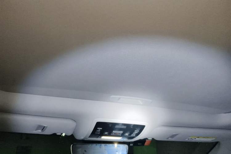 Used Lexus RX 2020 300 Two-Wheel Drive Comfort Edition China VI Standard Headliner