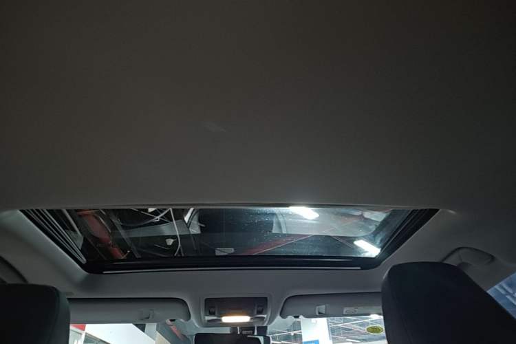 Used Lexus RX 2020 Revised Version 300 Two-Wheel Drive Elite Edition Headliner