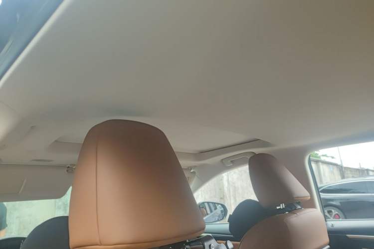 Used Lexus RX 2020 Revised Version 300 Two-Wheel Drive Comfort Edition Headliner