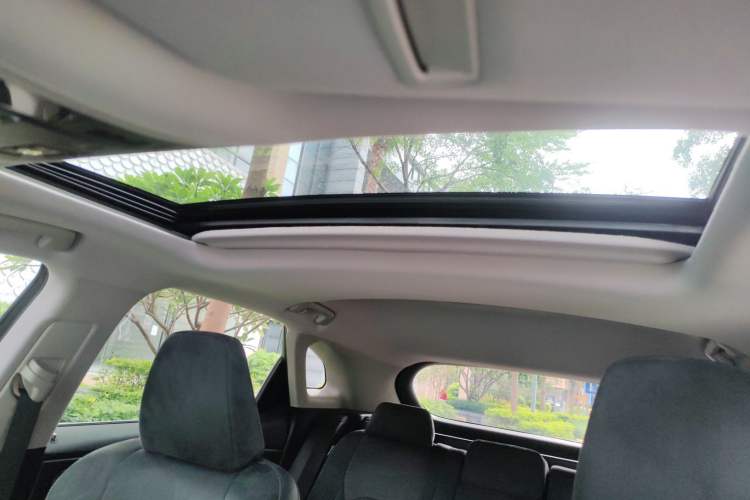 Used Lexus RX 2020 Revised Version 300 Two-Wheel Drive Elite Edition Headliner