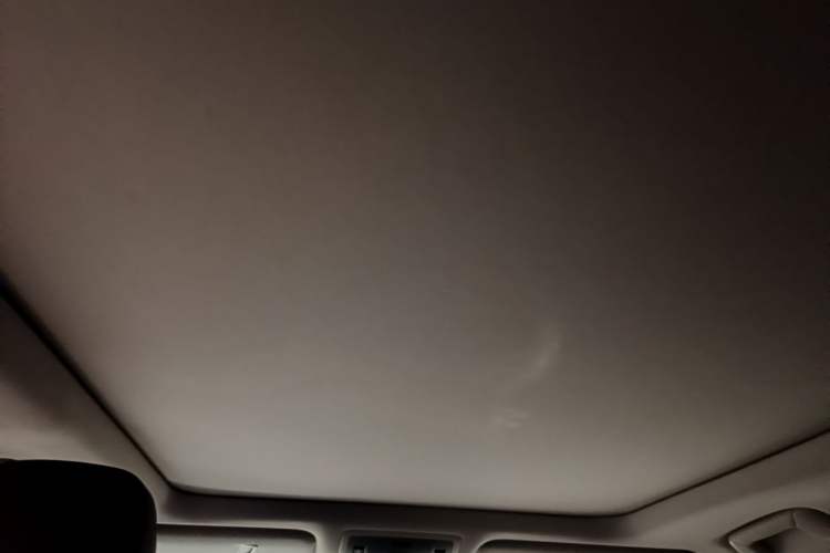 Used Lexus RX 2020 Facelifted 300 4x4 Elegant Edition Headliner