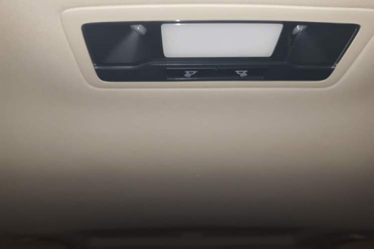 Used Lexus RX 2020 300 Two-Wheel Drive Comfort Edition China VI Standard Headliner