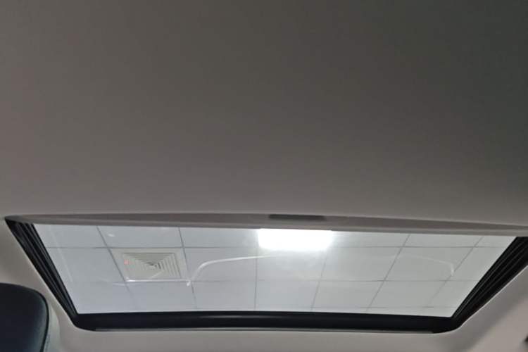 Used Lexus RX 2020 Revised Version 300 Two-Wheel Drive Elite Edition Headliner