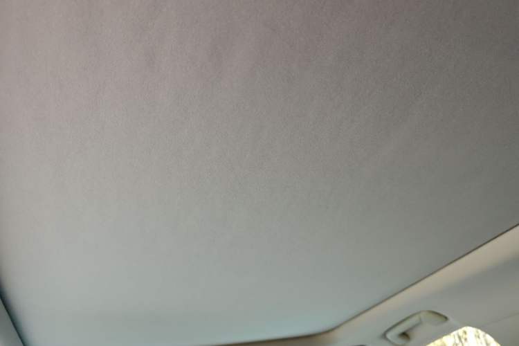 Used Lexus RX 2020 Facelifted 300 4x4 Elegant Edition Headliner