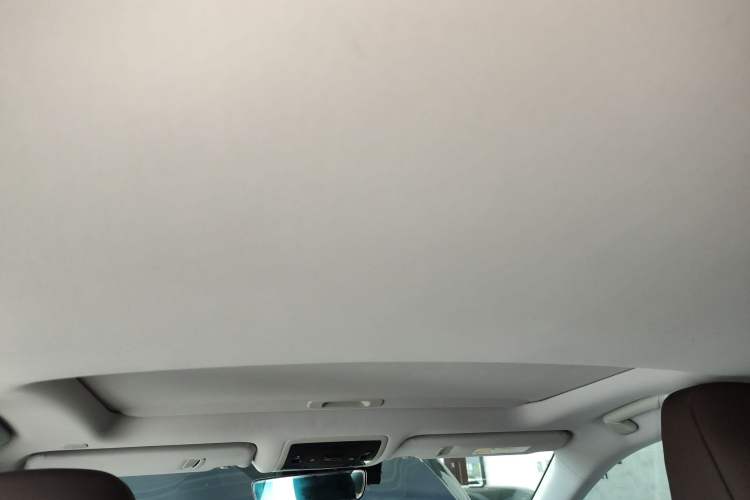 Used Lexus RX 2020 Revised Version 450hL Four-Wheel Drive Elegant Edition 7 Seats Headliner