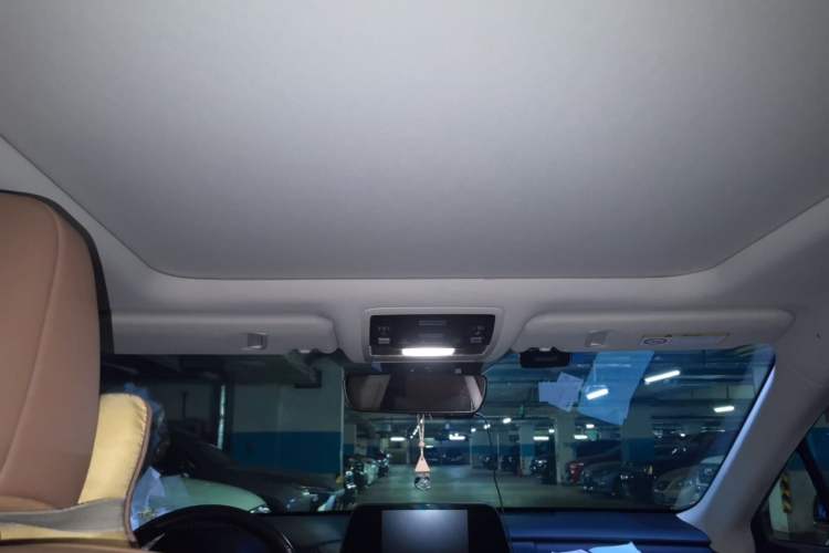 Used Lexus RX 2020 Facelifted 300 4x4 Elegant Edition Headliner