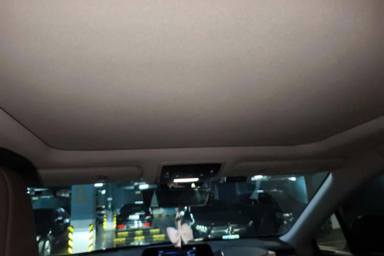 Used Lexus RX 2020 Facelifted 300 4x4 Elegant Edition Headliner