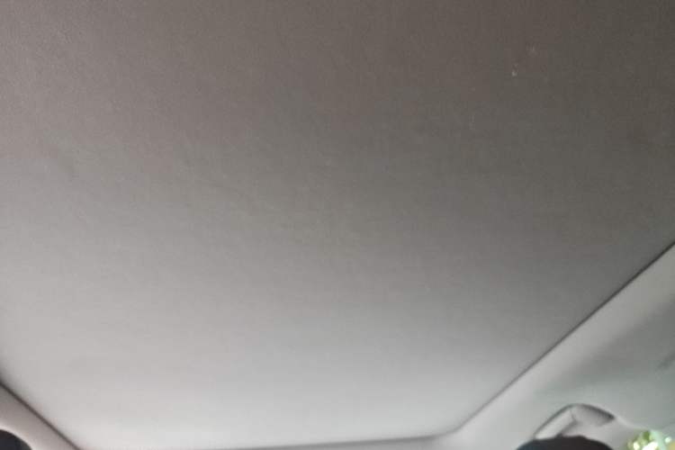 Used Lexus RX 2020 Facelifted 300 4x4 Elegant Edition Headliner