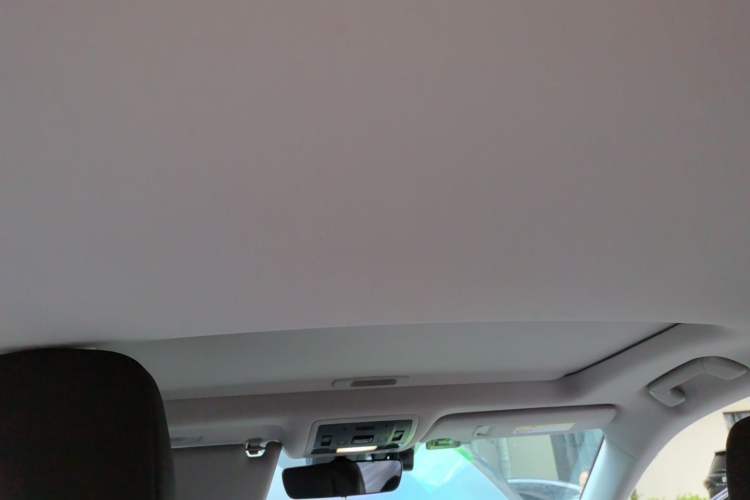 Used Lexus RX 2020 Revised Version 300 Two-Wheel Drive Comfort Edition Headliner