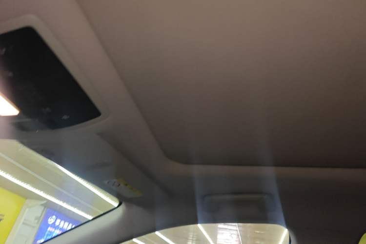 Used Lexus RX 2020 Facelifted 300 4x4 Elegant Edition Headliner