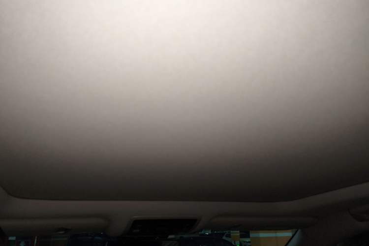 Used Lexus RX 2020 Facelifted 300 4x4 Elegant Edition Headliner