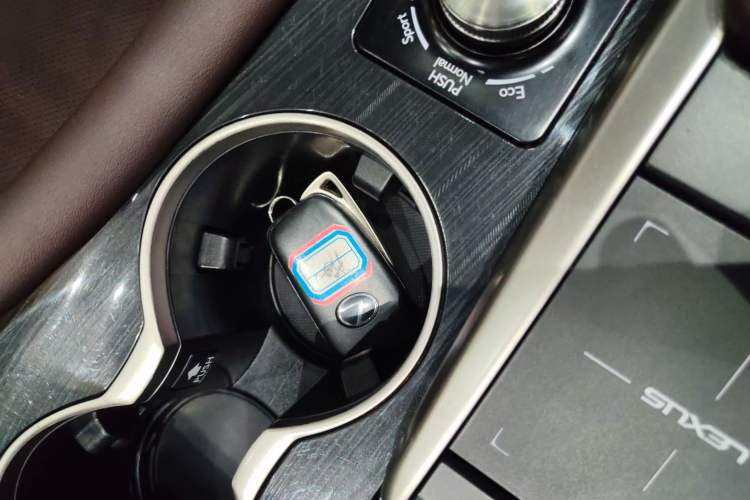 Used Lexus RX 2020 Facelifted 300 4x4 Elegant Edition Interior 1