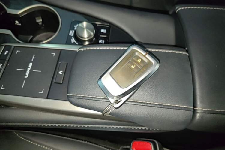 Used Lexus RX 2020 Revised Version 300 Two-Wheel Drive Elite Edition Interior 1