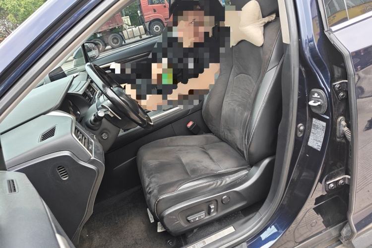 Used Lexus RX 2020 300 Two-Wheel Drive Elite Edition China VI Standard Left Front Seat
