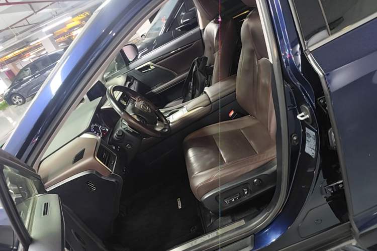 Used Lexus RX 2020 Revised Version 300 Two-Wheel Drive Comfort Edition Left Front Seat