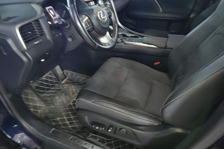 Used Lexus RX 2020 Revised Version 300 Two-Wheel Drive Elite Edition Left Front Seat