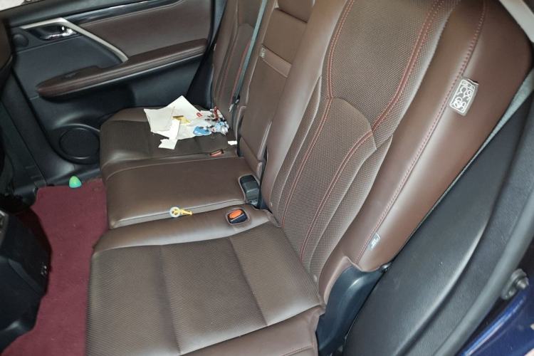 Used Lexus RX 2020 Revised Version 300 Two-Wheel Drive Comfort Edition Left Rear Seat