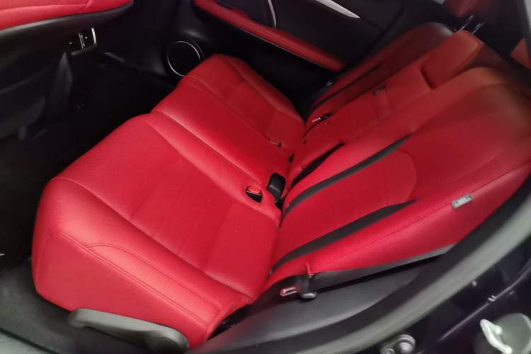 Used Lexus RX 2020 300 4x4 F SPORT China VI Left Rear Seat