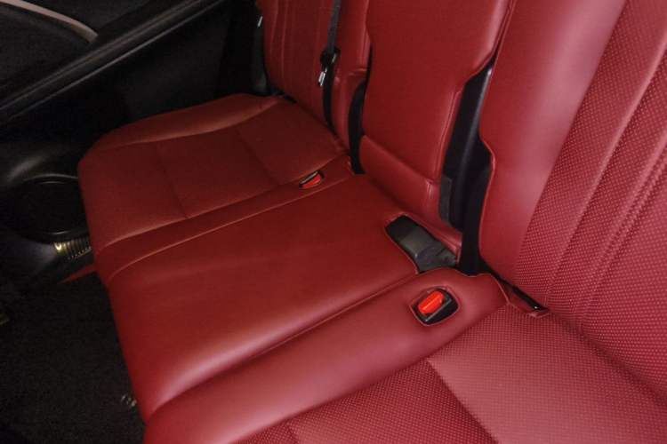 Used Lexus RX 2020 Revised Version 300 Two-Wheel Drive Elite Edition Left Rear Seat