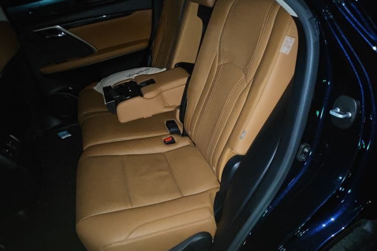 Used Lexus RX 2020 Facelifted 300 4x4 Elegant Edition Left Rear Seat