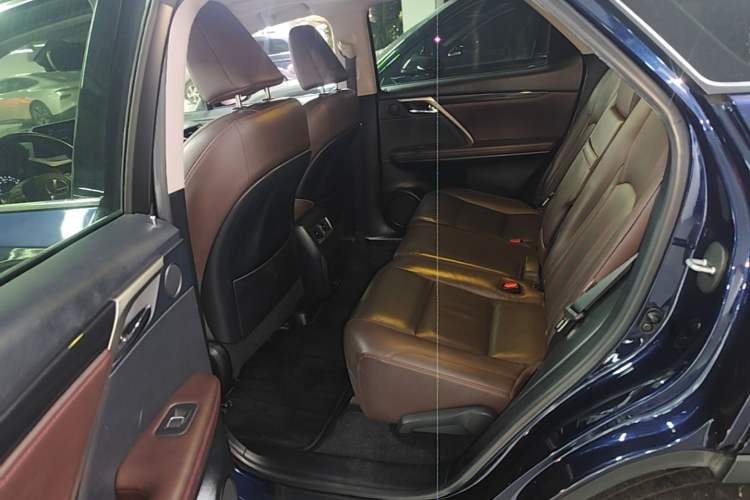 Used Lexus RX 2020 Revised Version 300 Two-Wheel Drive Comfort Edition Left Rear Seat