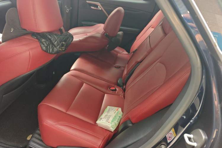Used Lexus RX 2020 300 Two-Wheel Drive Elite Edition China VI Standard Left Rear Seat