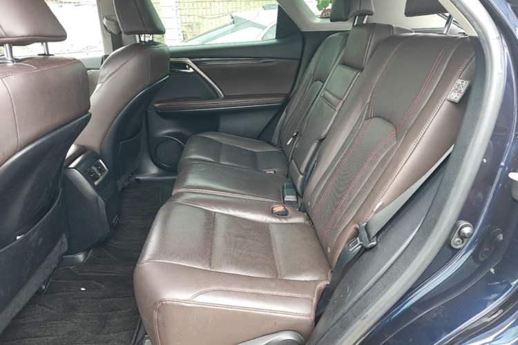 Used Lexus RX 2020 Revised Version 300 Two-Wheel Drive Comfort Edition Left Rear Seat