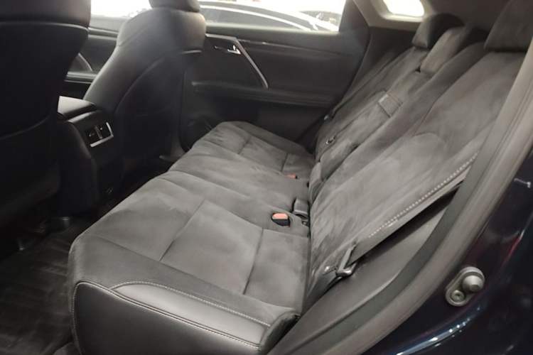 Used Lexus RX 2020 Revised Version 300 Two-Wheel Drive Elite Edition Left Rear Seat