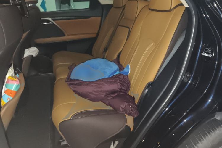 Used Lexus RX 2020 300 Two-Wheel Drive Comfort Edition China VI Standard Left Rear Seat
