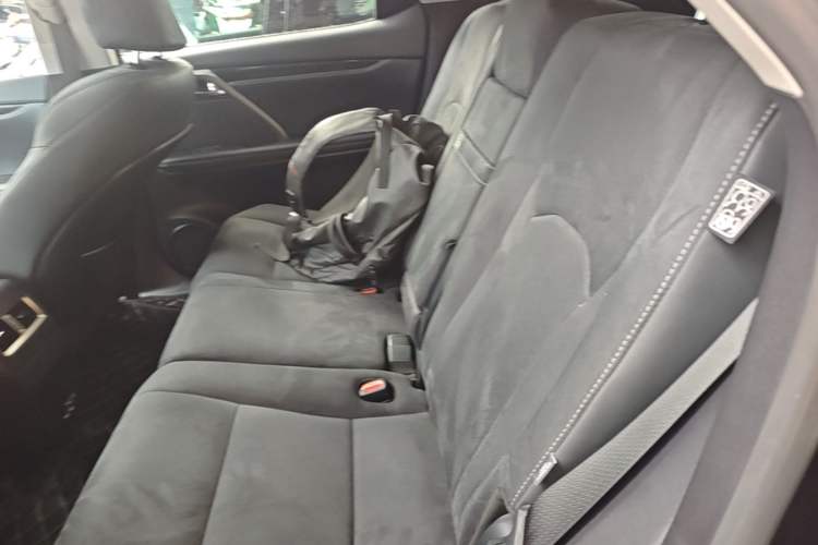 Used Lexus RX 2020 Revised Version 300 Two-Wheel Drive Elite Edition Left Rear Seat