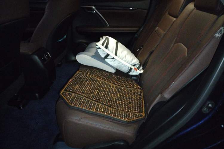 Used Lexus RX 2020 Facelifted 300 4x4 Elegant Edition Left Rear Seat