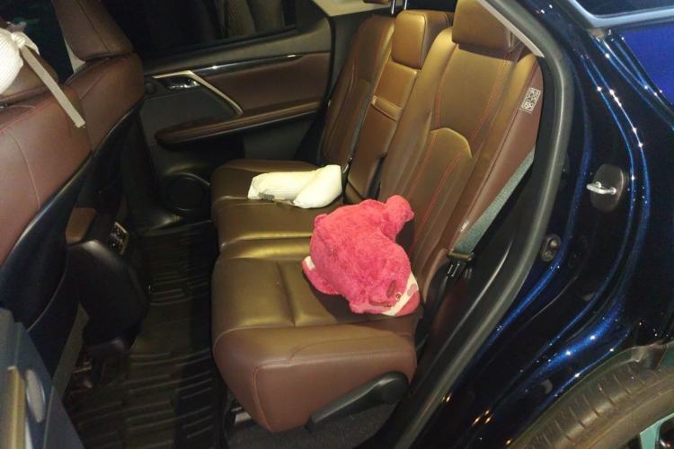 Used Lexus RX 2020 Facelifted 300 4x4 Elegant Edition Left Rear Seat