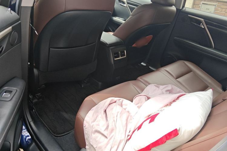 Used Lexus RX 2020 Revised Version 300 Two-Wheel Drive Elite Edition Left Rear Seat