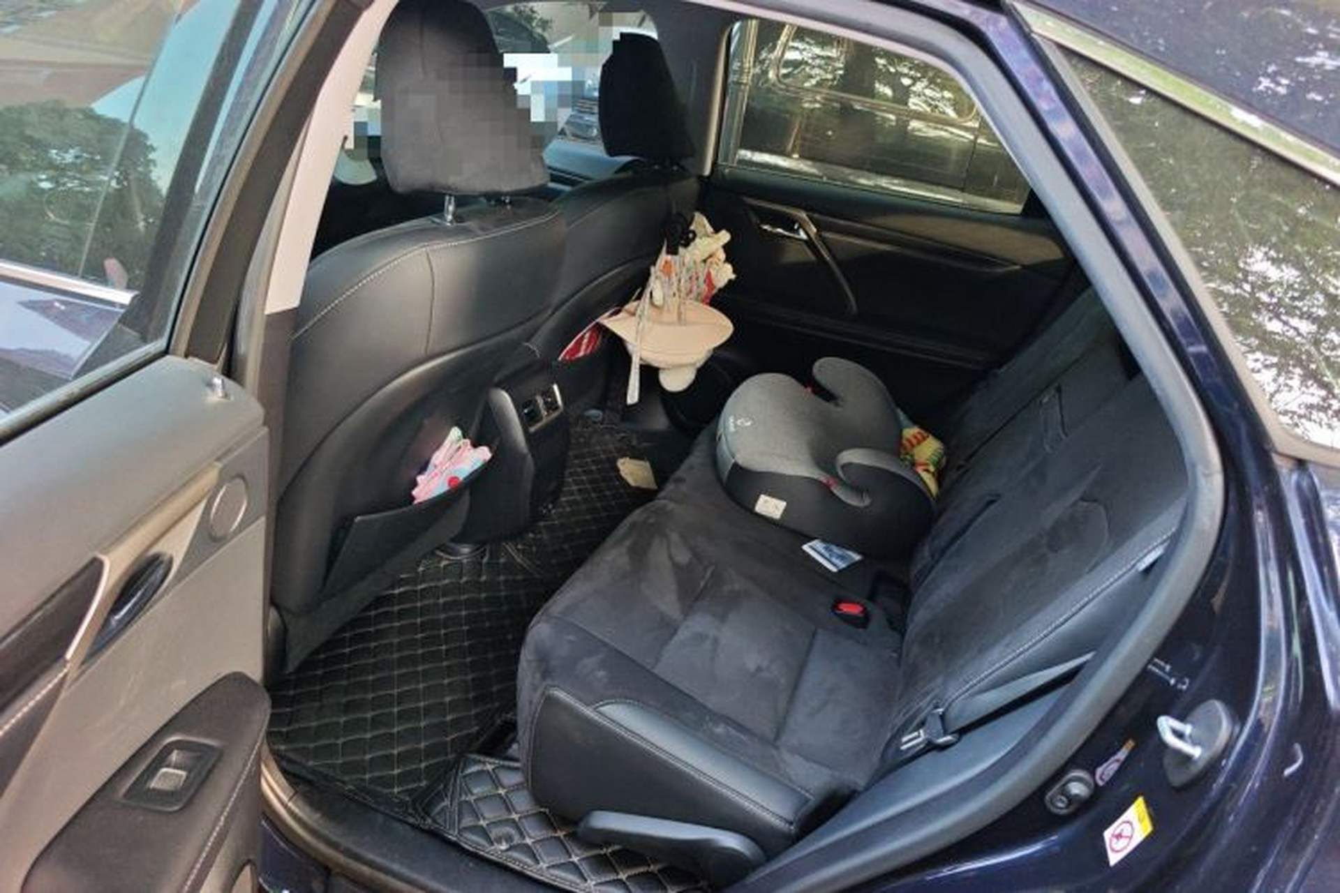 Used Lexus RX 2020 300 Two-Wheel Drive Elite Edition China VI Standard Left Rear Seat