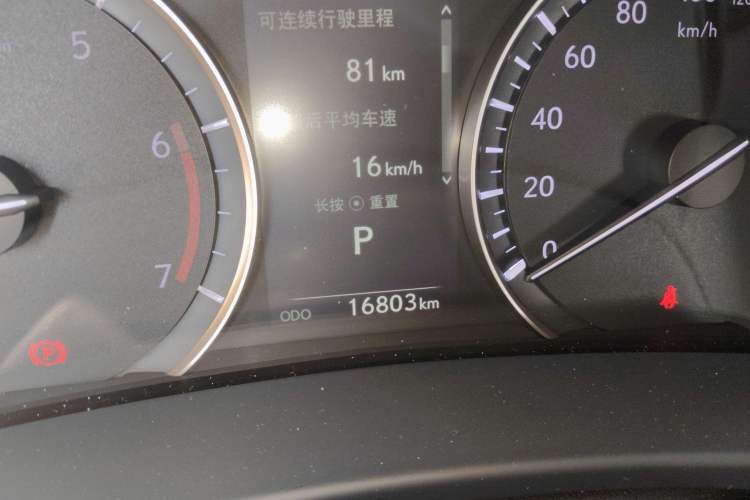Used Lexus RX 2020 300 Two-Wheel Drive Elite Version China V Standard Odometer Close Up
