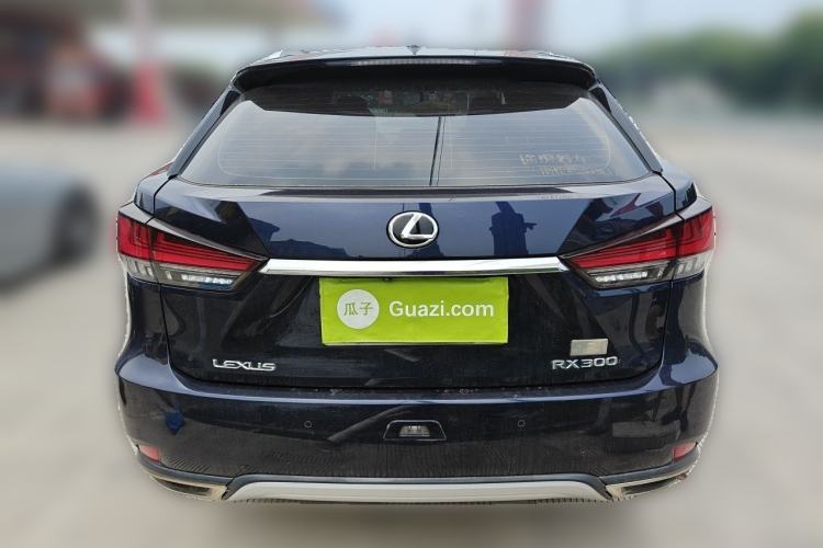 Used Lexus RX 2020 300 Two-Wheel Drive Elite Edition China VI Standard Rear