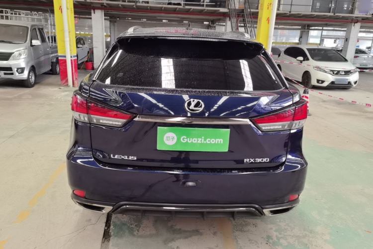 Used Lexus RX 2020 300 4x4 F SPORT China VI Rear